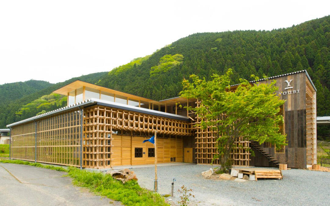 Study Woodworking in Japan